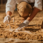 New Jersey Quarry Hides 100,000 Ancient Corpses Archaeologist carefully excavating fossils in sandy soil