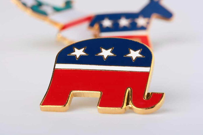Republican elephant and Democratic donkey pins.