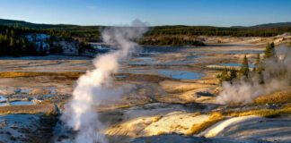 Geysers emitting steam in Yellowstone National Park landscape