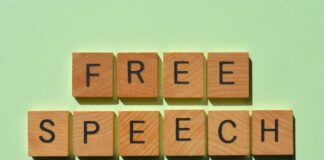Wooden letter tiles spelling 'FREE SPEECH' on a light green background
