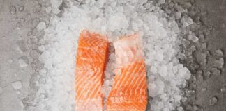 Two pieces of fresh salmon fillet on a bed of ice