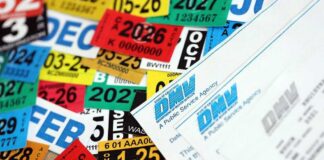 A collection of colorful vehicle registration stickers and DMV paperwork