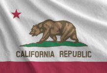 California state flag featuring a bear and a red star