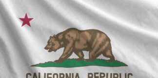 California state flag featuring a bear and a red star