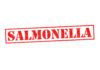 Salmonella Scare: Major Brands Recalled Red stamp with the word 'SALMONELLA' indicating a health warning
