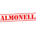 Salmonella Scare: Major Brands Recalled Red stamp with the word 'SALMONELLA' indicating a health warning
