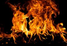 VIDEO: Paradise Inferno Sparks Mass Evacuation Bright flames dancing against a dark background