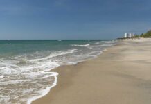 Sunset Beach, Then Screams