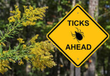 ER Tick Surge Stuns Doctors Yellow sign: Ticks Ahead with tick symbol.