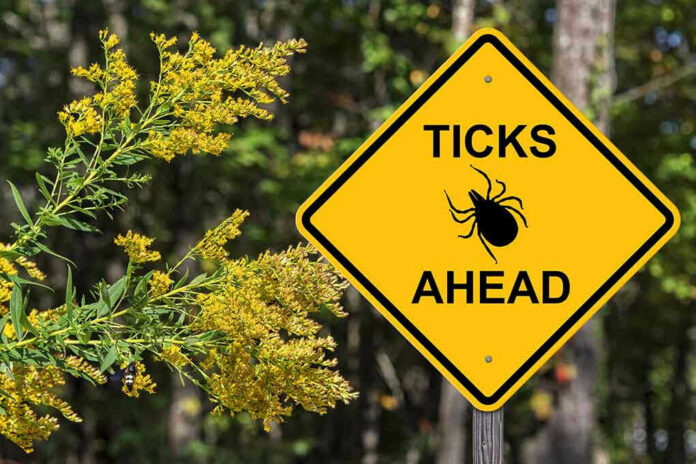 Yellow sign: Ticks Ahead with tick symbol.