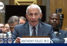 Fauci Goes Dark — Fifth, 100+ Times Fauci invokes 5th Amendment during Senate testimony