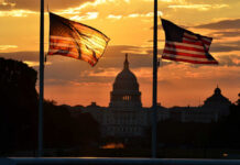 U.S. Senator Vanishes, Then Drops Bombshell Silhouetted American flags in front of the Capitol building during sunset