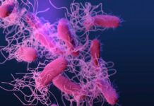 Mystery Parasite Slams State – Thousands Sick Illustration of bacteria with long flagella against a colorful background