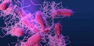 Illustration of bacteria with long flagella against a colorful background