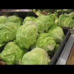 Outbreak Explodes: Taco Bell Lettuce Blamed Iceberg lettuce recalled in 27 states as cyclospora outbreak investigation continues