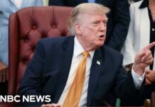 VIDEO: Trump Torches Ally Trump: Jeanine Pirro 'made a mistake' dropping Reflecting Pool vandalism case