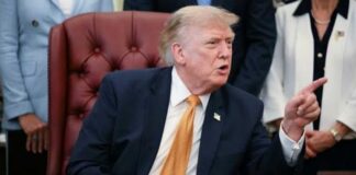 Trump: Jeanine Pirro 'made a mistake' dropping Reflecting Pool vandalism case