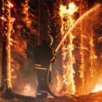 Firefighter spraying water on burning forest trees at night