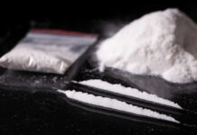 Campus Coke Operation Exposed — 14 Charged Cocaine