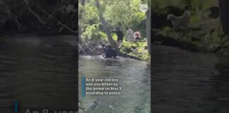 Rabid beaver attacks people at park. Viral video shows terrifying encounter.