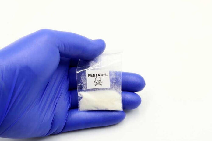 shutterstock_2334439849 Hand in glove holding fentanyl packet with skull warning.
