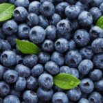 Blueberries covered in water droplets with green leaves scattered
