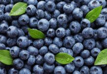 Blueberries covered in water droplets with green leaves scattered